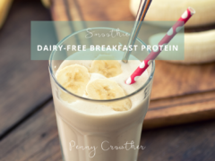 Dairy-Free Breakfast Protein